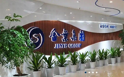 陕西金叶科教集团股份有限公司